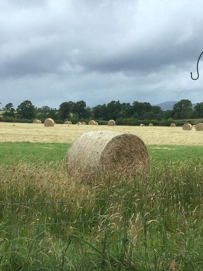 Ardoch Cottage Bed & Breakfast Balloch Exterior foto